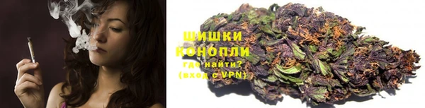 ГАЛЛЮЦИНОГЕННЫЕ ГРИБЫ Сатка