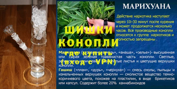 ГАЛЛЮЦИНОГЕННЫЕ ГРИБЫ Сатка