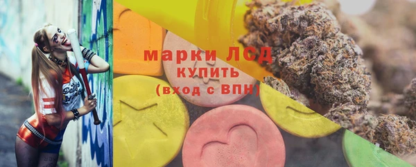 ГАЛЛЮЦИНОГЕННЫЕ ГРИБЫ Сатка