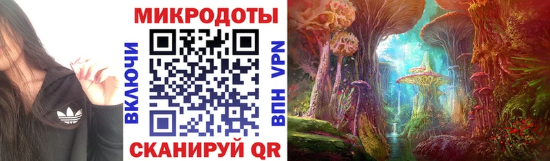 Псилоцибиновые грибы прущие грибы  Альметьевск 