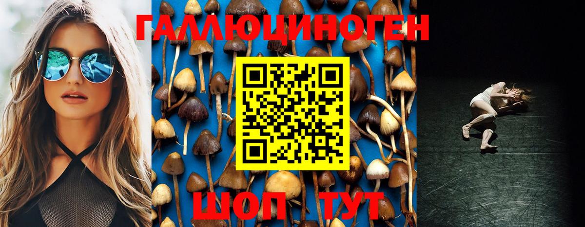 Альметьевск  Псилоцибиновые грибы прущие грибы  Вход с VPN 